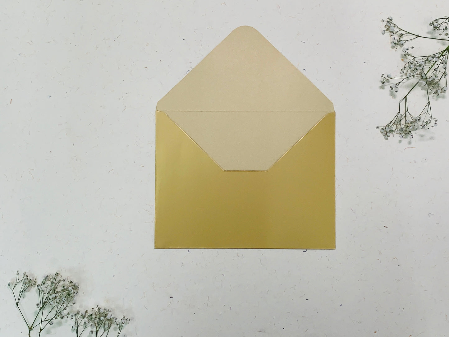 ENVELOPE 013