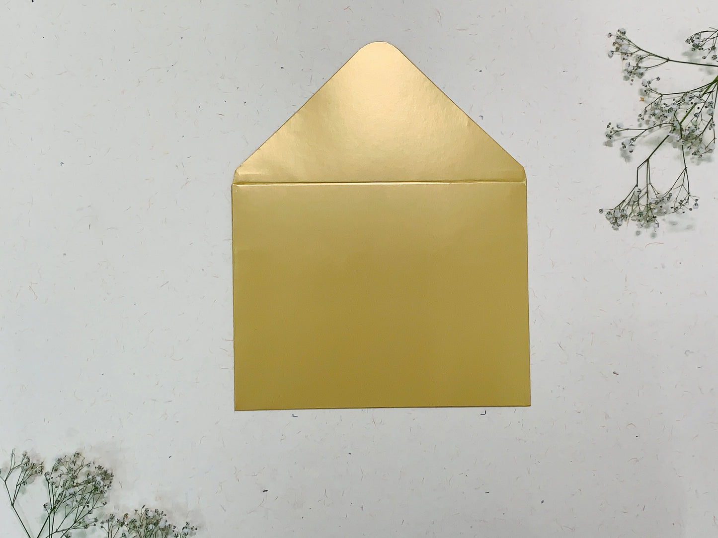 ENVELOPE 013