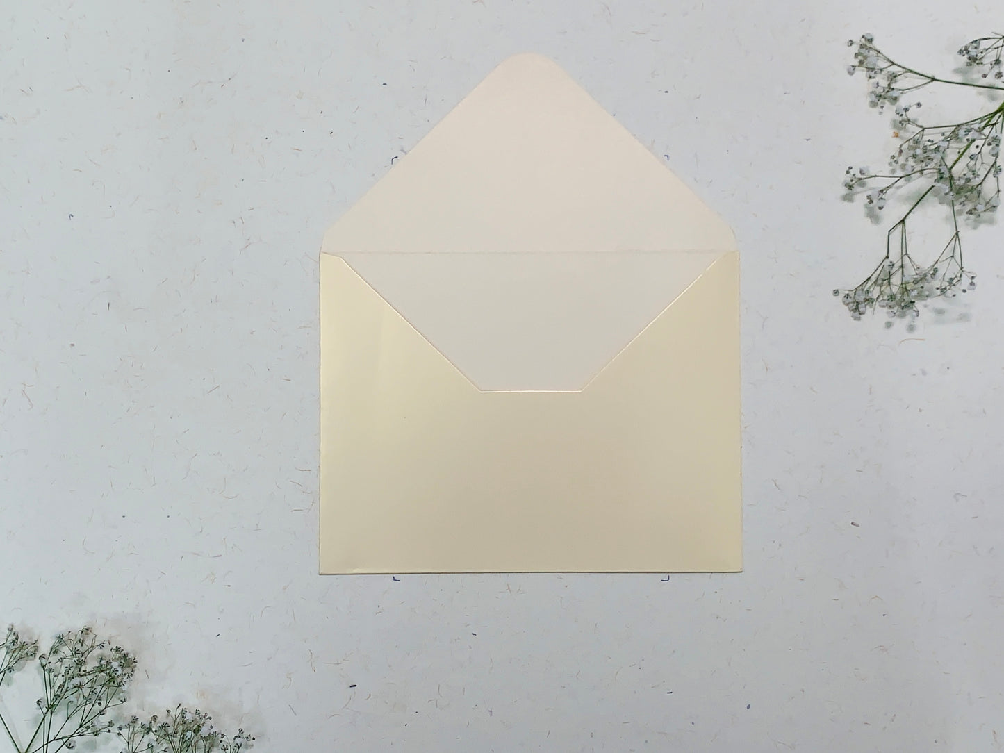 ENVELOPE 012