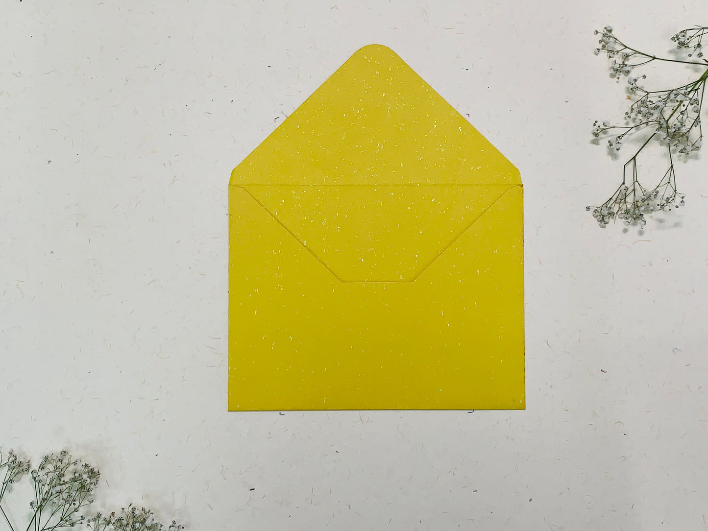 ENVELOPE 011