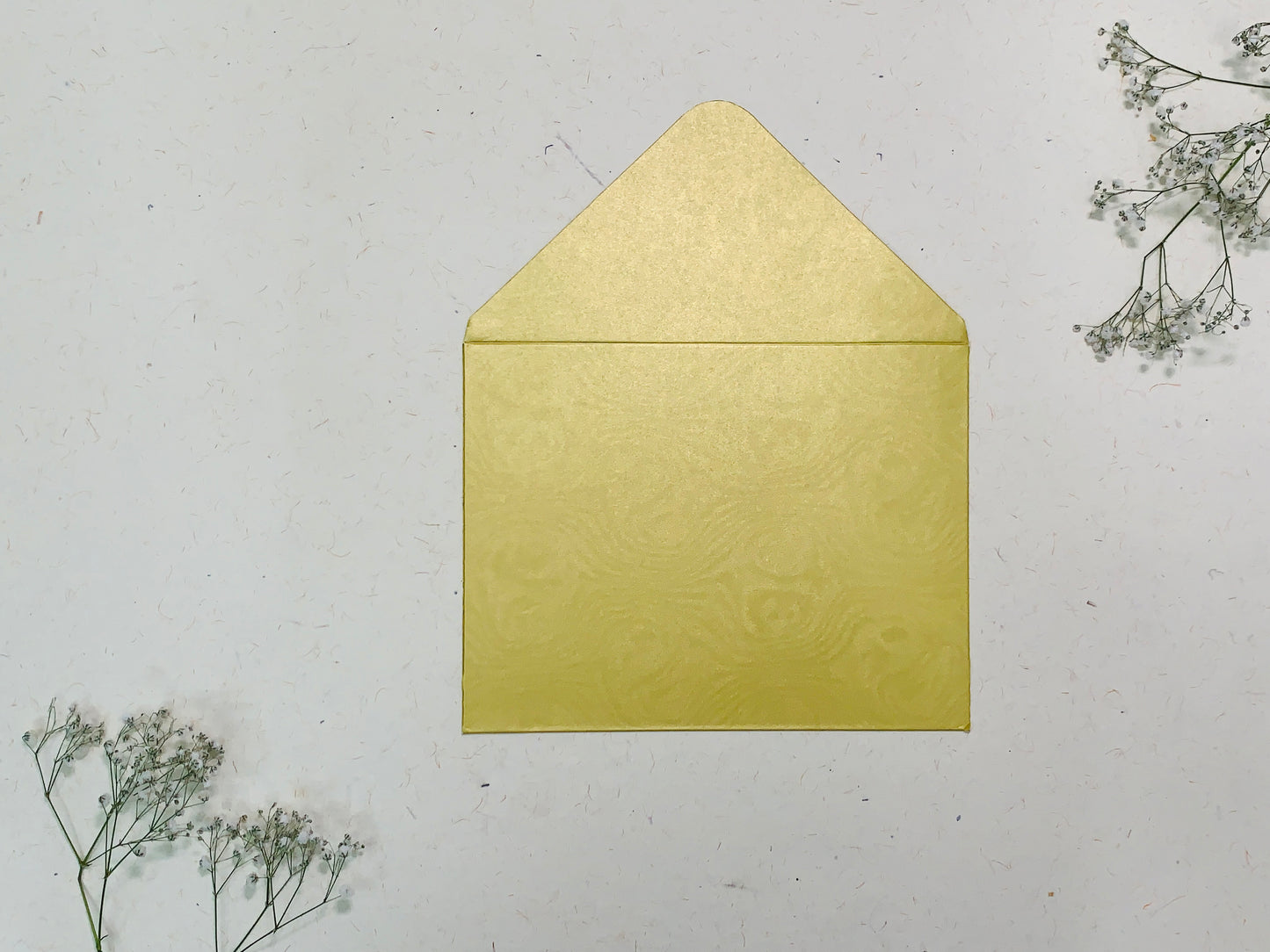 ENVELOPE 003