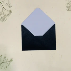 ENVELOPES 1-10